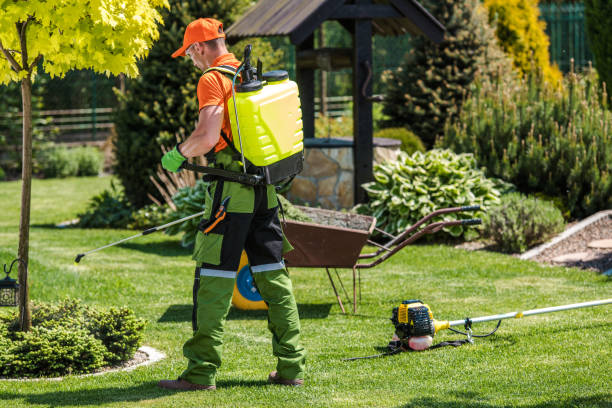 Best Fumigation Services  in Middleton, WI